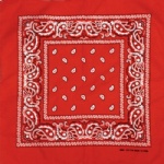 100% Cotton 55*55cm Square Bandana